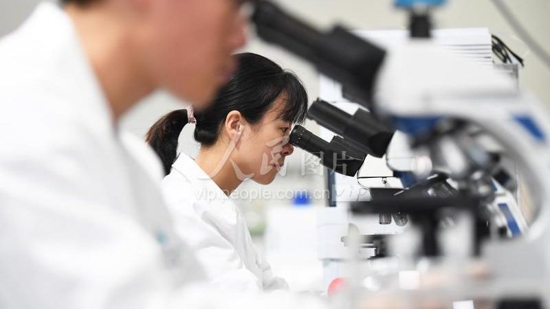 国产试剂与进口试剂：差异解析与选购要点