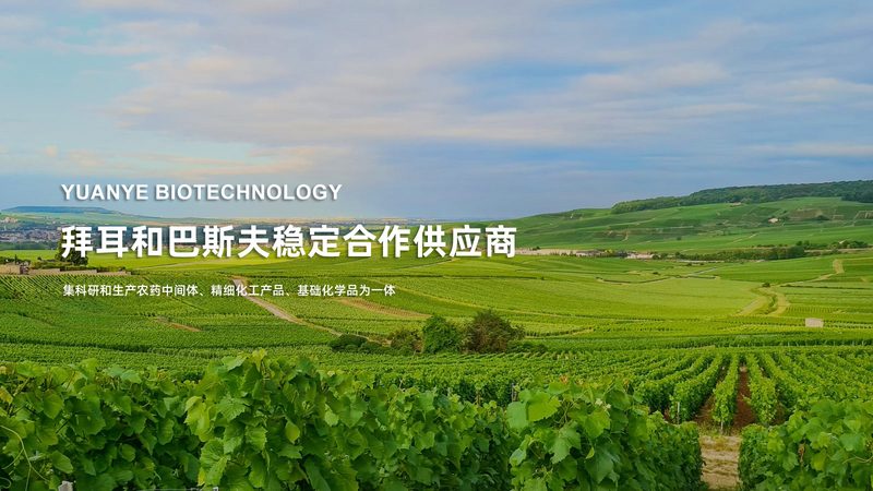 技术有限公司