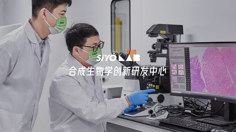 小分子CDMO：如何选择合适的生产厂家？**