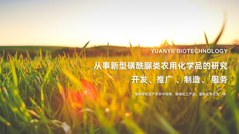 CRO转化率优化：从实验设计到数据驱动的完整路径