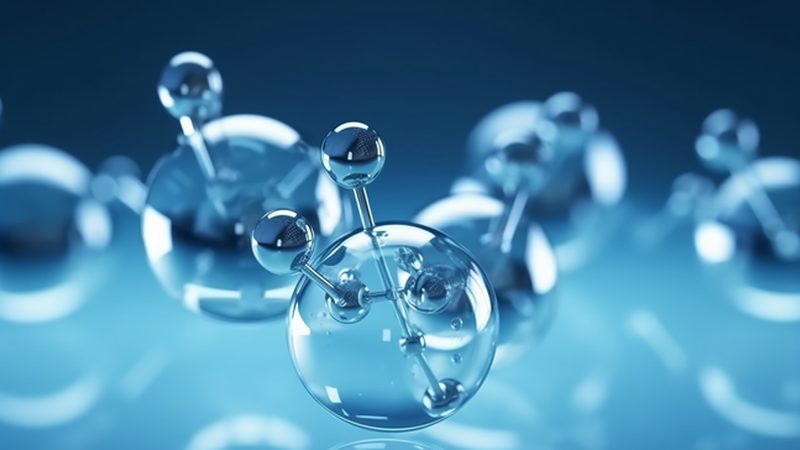 干细胞培养基的选择：揭秘其关键因素与误区