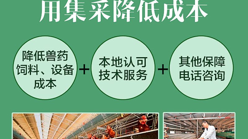 张江CDMO公司：揭秘医药研发背后的力量**