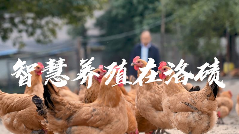 自测PCR试剂盒哪个牌子好