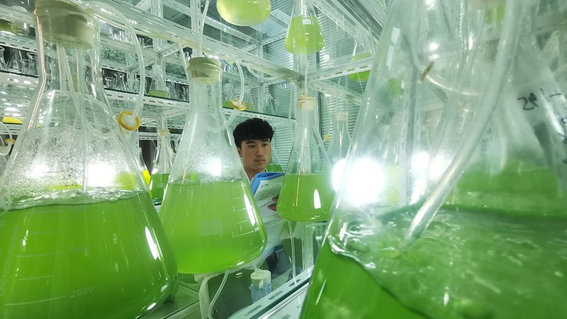 在评估报价时，要关注以下细节：